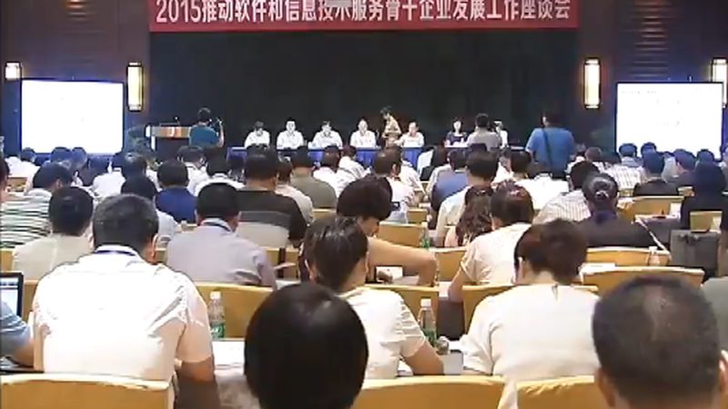 误区一：只关注价格，忽视系统功能